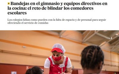 Artículo en El Pais (suscriptores)