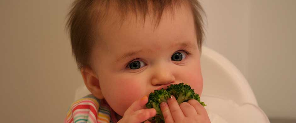 Baby Led Weaning, lo último en alimentación para bebés